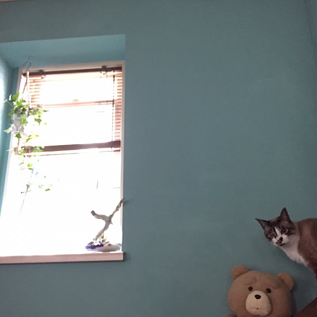 bowbowcoさんの実例写真