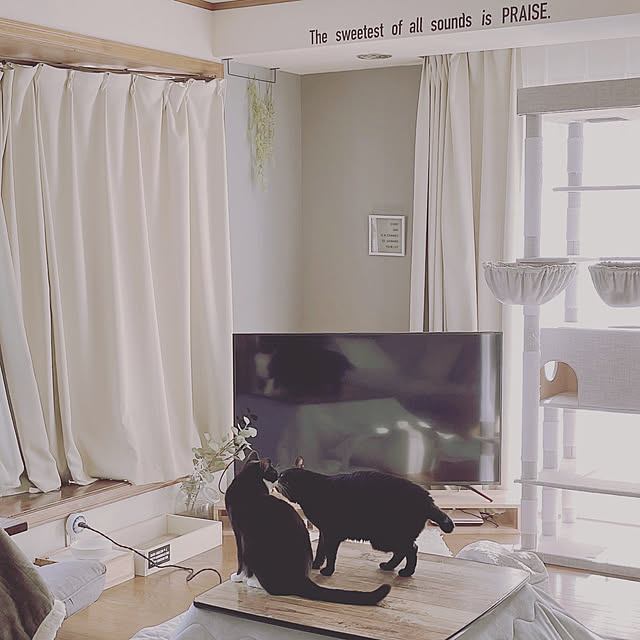 mahi1101さんの実例写真