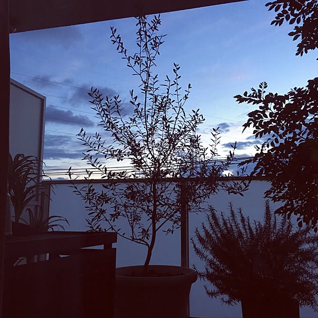 shige88さんの実例写真