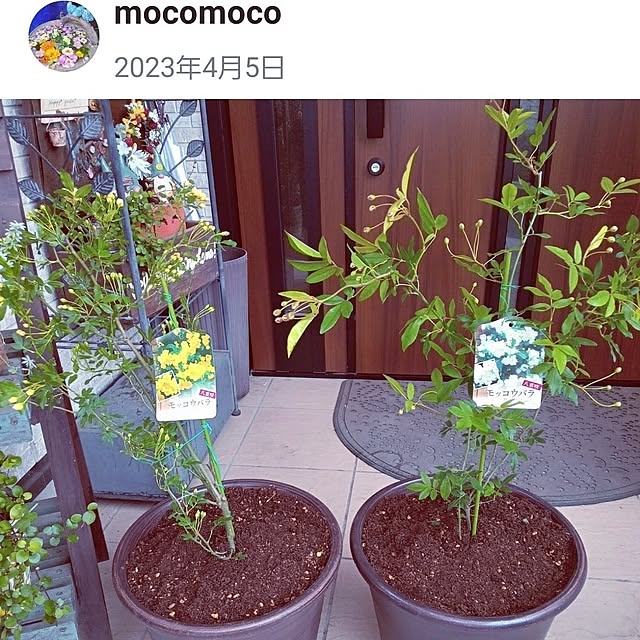 mocomocoさんの実例写真