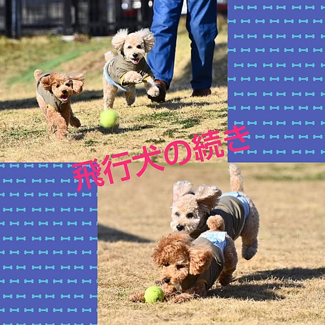 yumirinさんの部屋