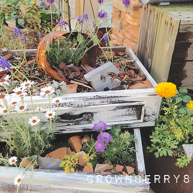 CrownBerry8700さんの実例写真