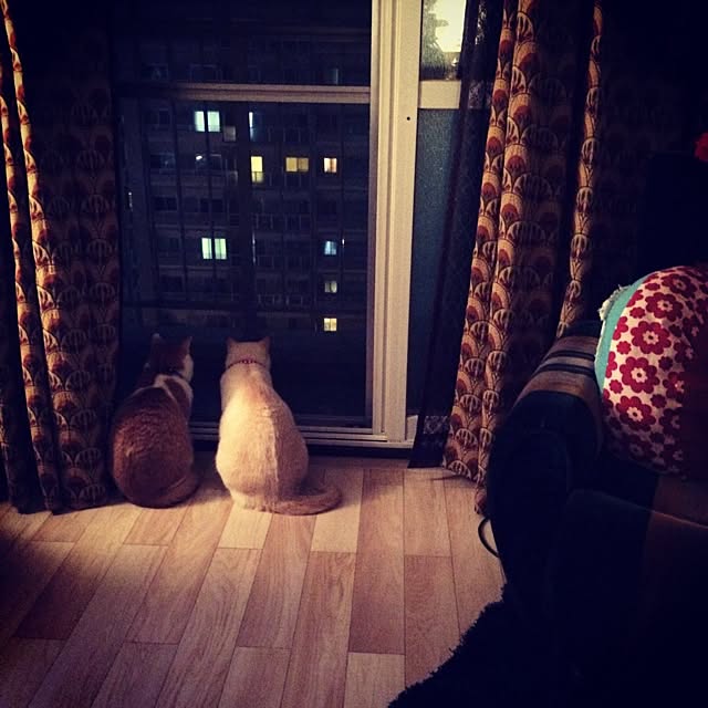 bobooooonさんの実例写真