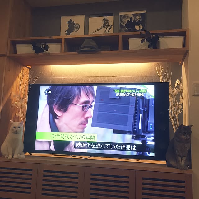 実例写真