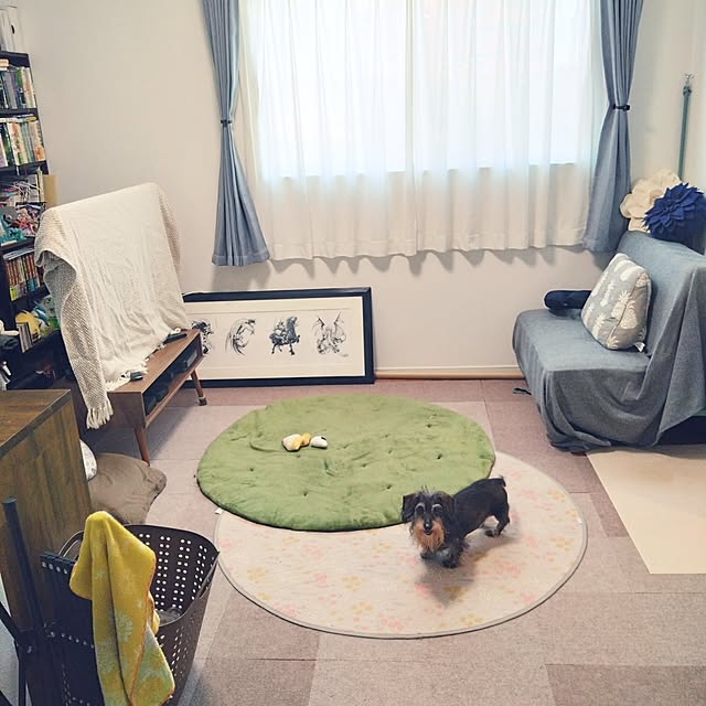実例写真