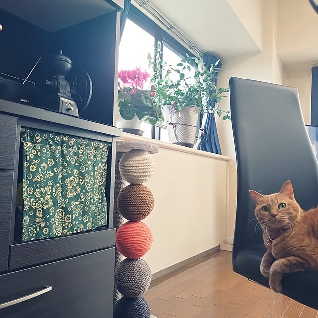 NOAHさんの実例写真