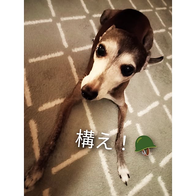 moruさんの部屋