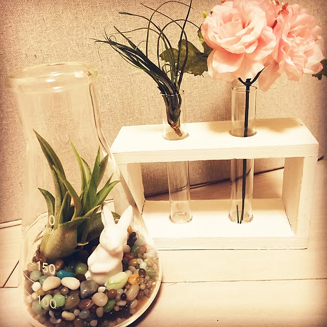yuki0c0chiさんの実例写真