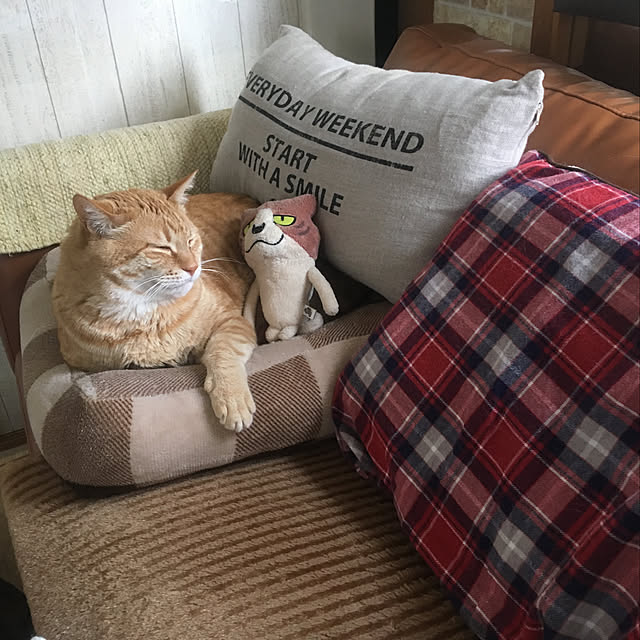 tututu0204さんの実例写真