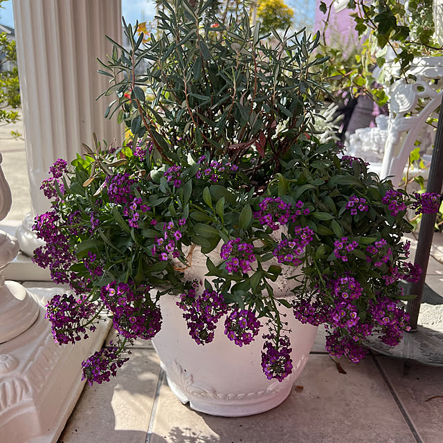 AYUKOさんの部屋