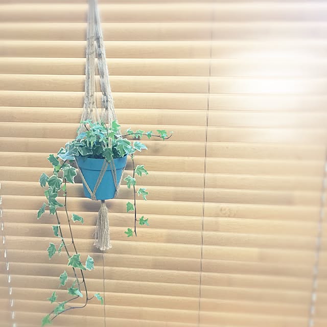 noriさんの実例写真