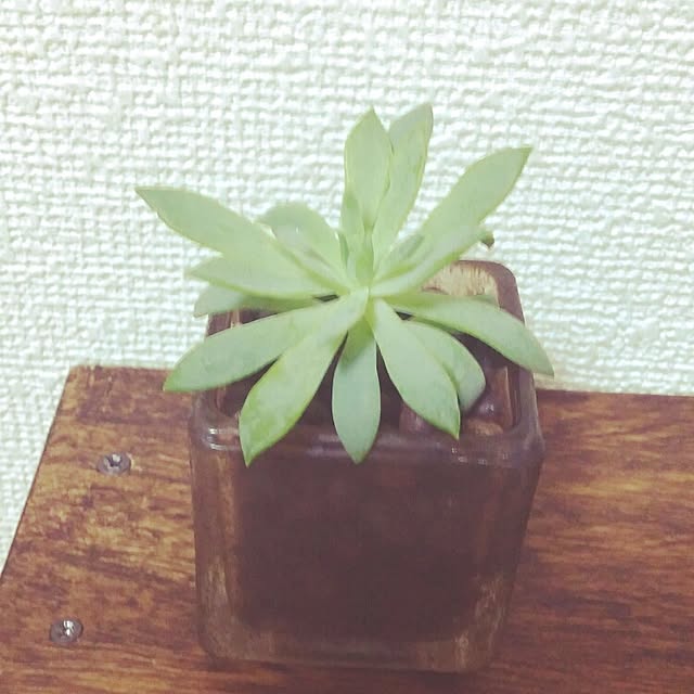 nyannandaさんの実例写真