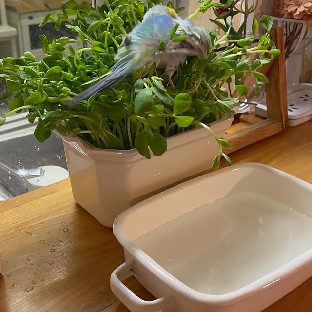 Atsukoさんの部屋