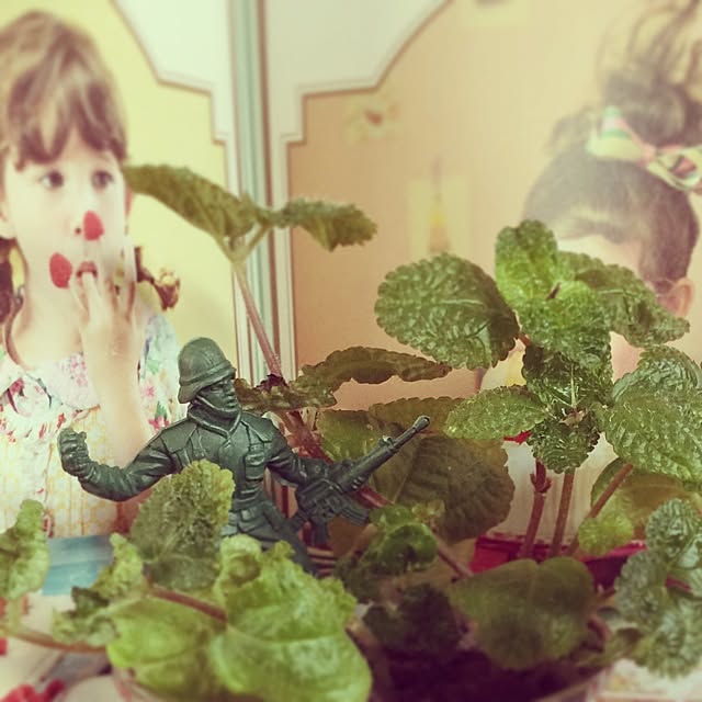 karinaさんの実例写真