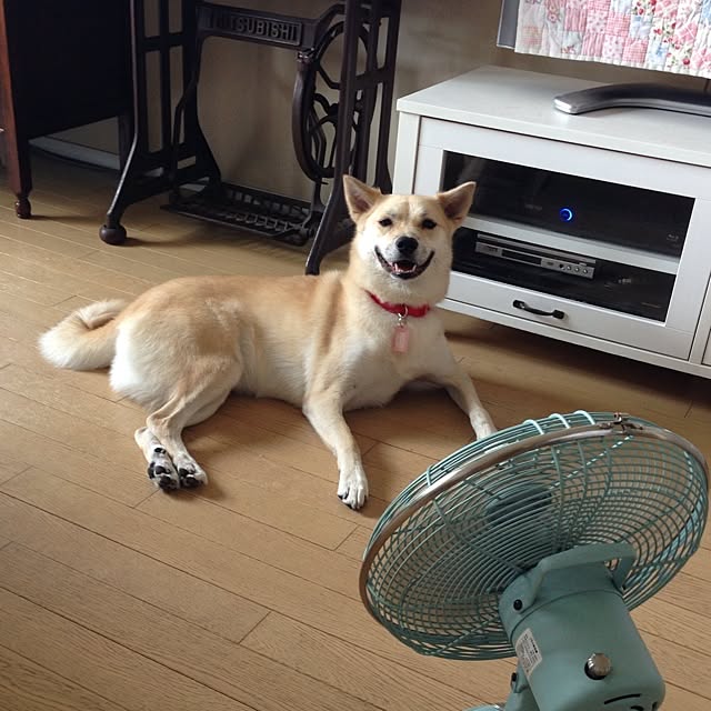 leonaさんの実例写真