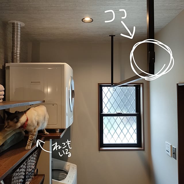 Atelier_tamakiさんの部屋