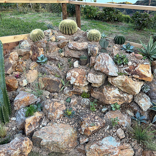 bonjiri0824さんの部屋