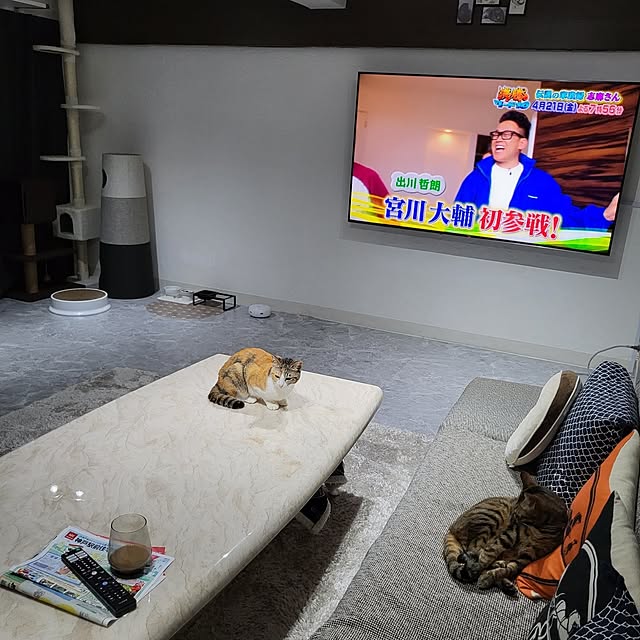 momoさんの部屋