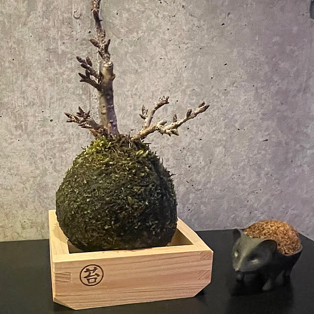 zenさんの実例写真