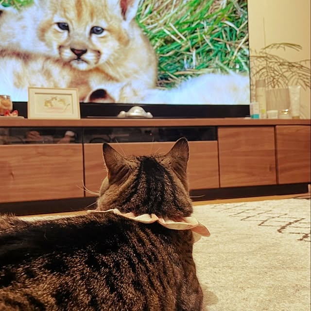 mochicoさんの実例写真