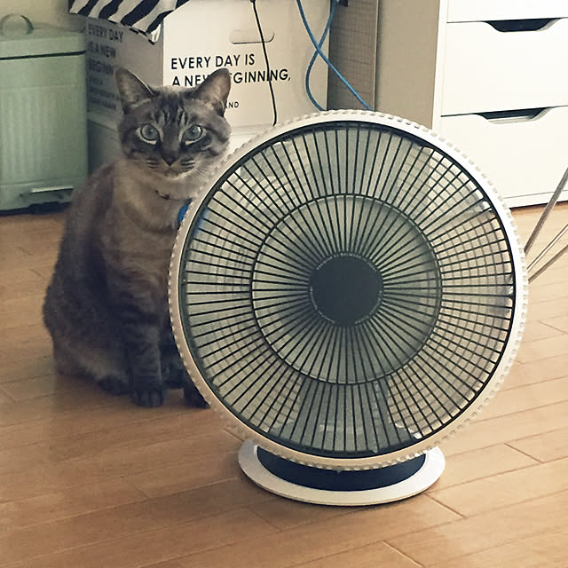 ayasmaさんの実例写真