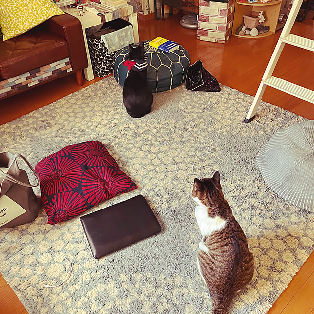 jijiさんの実例写真
