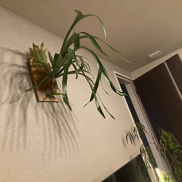 ma.さんの実例写真