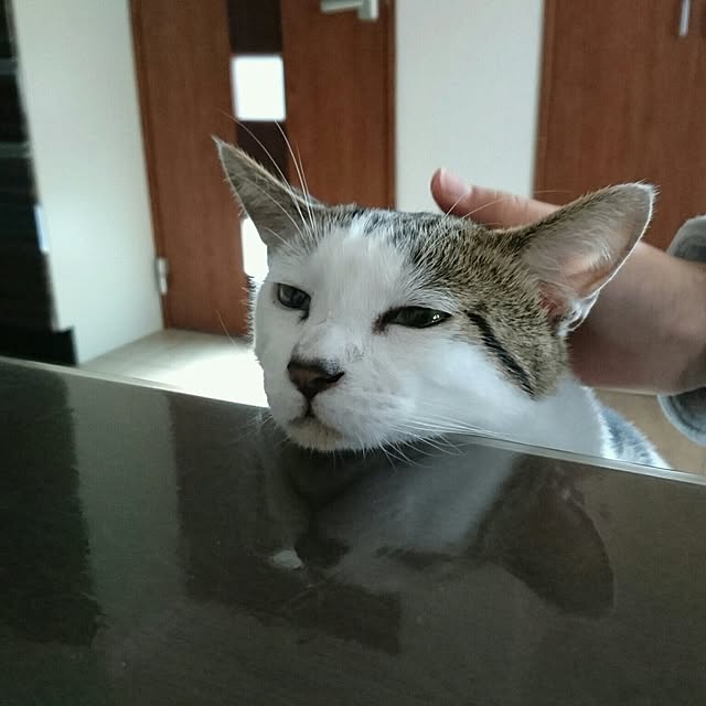 akikoさんの実例写真
