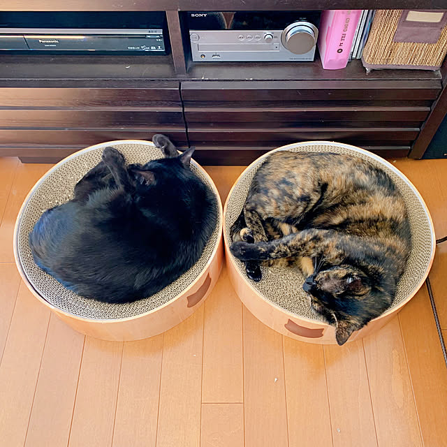mameazさんの実例写真