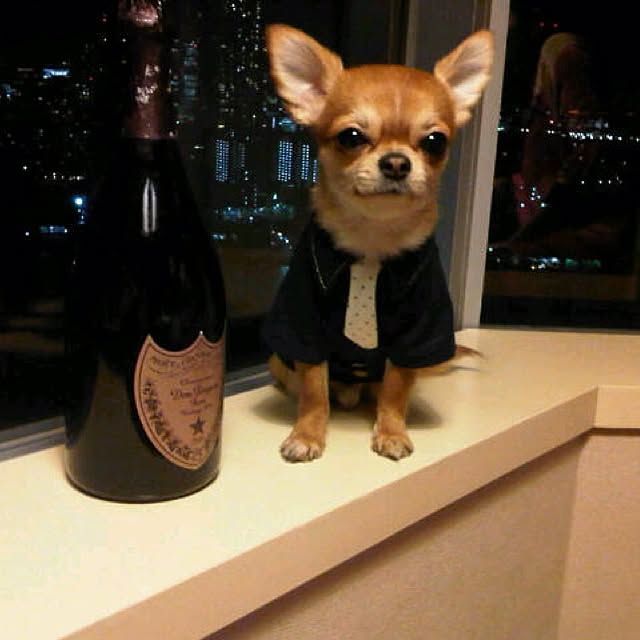 sayabananaさんの実例写真