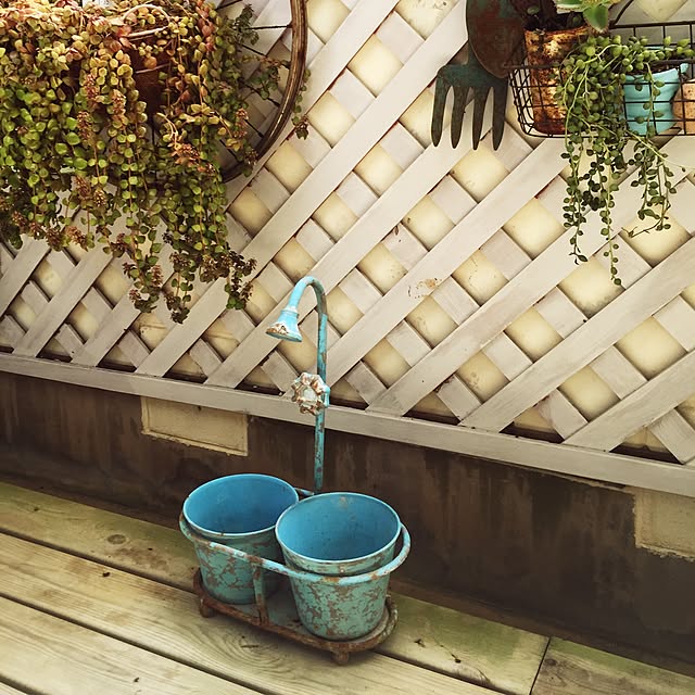 cauntrymarmさんの実例写真