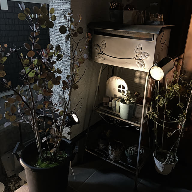 anko.hibuさんの実例写真