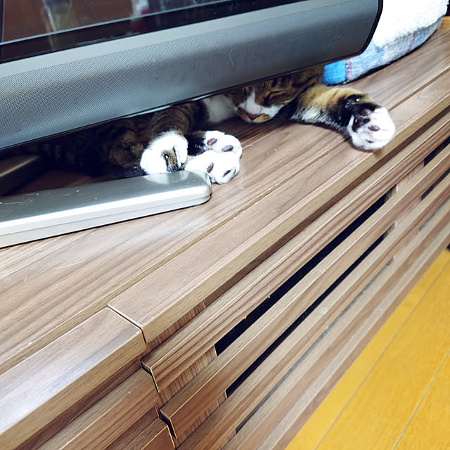 nachiさんの実例写真