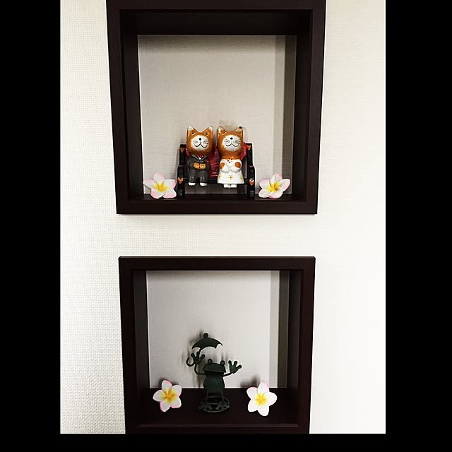 canaさんの実例写真