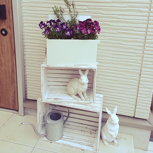 ayuさんの実例写真