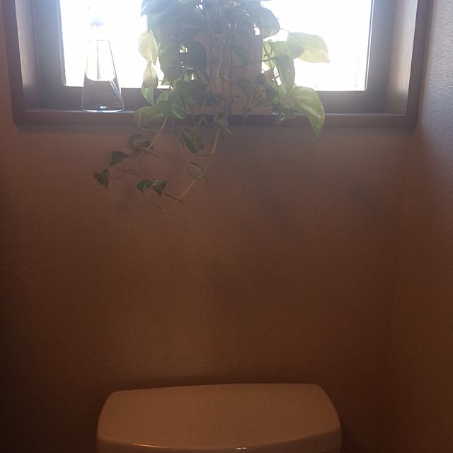 バス/トイレのインテリア実例 - 2017-01-12 09:31:01