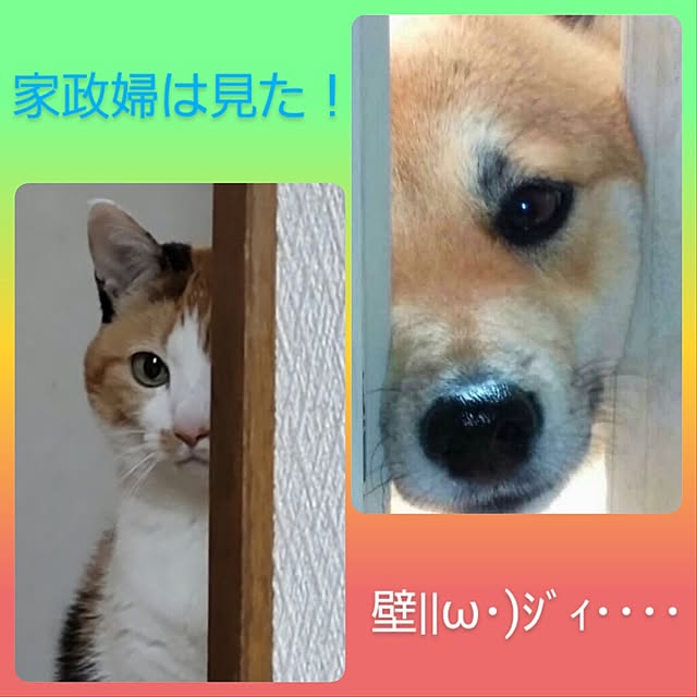 nanaさんの部屋