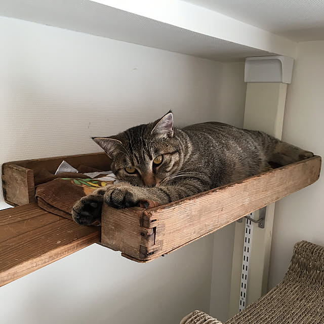 mikomaruさんの実例写真