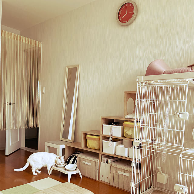 Maiさんの部屋