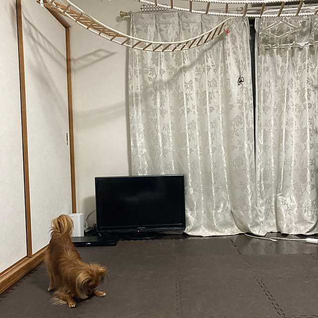 toratanさんの実例写真