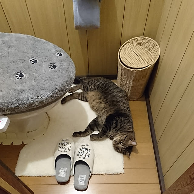 taleo07さんの実例写真