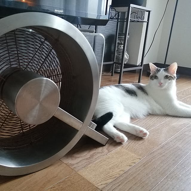 nahocさんの実例写真