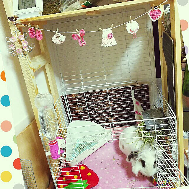 WASABIさんの実例写真