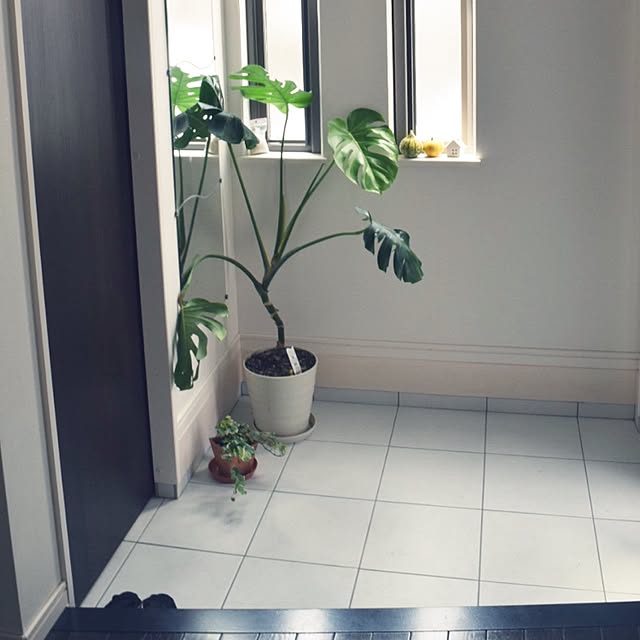 marikoさんの実例写真
