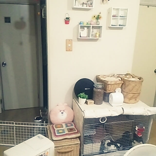 purinさんの実例写真