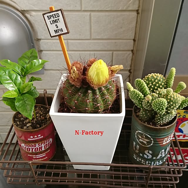 N-Factoryさんの実例写真