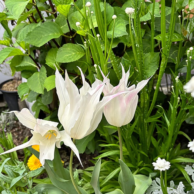 kyoko1124koさんの部屋