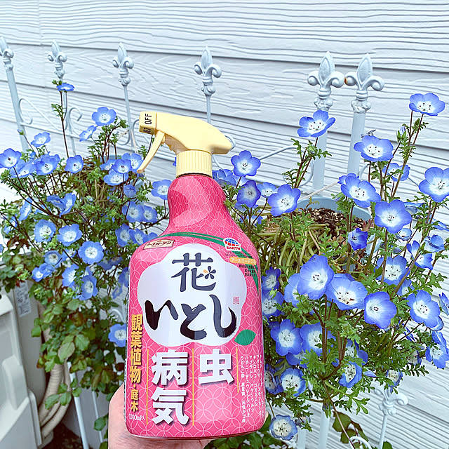 koko_hikaさんの部屋