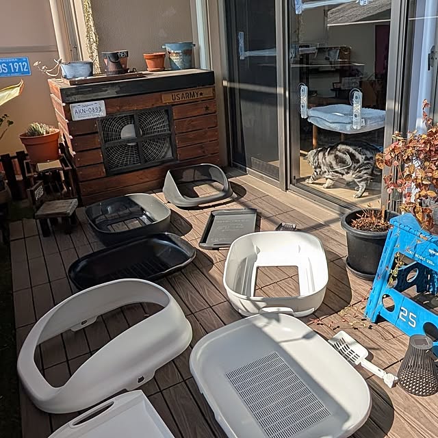 lovepeaceさんの部屋