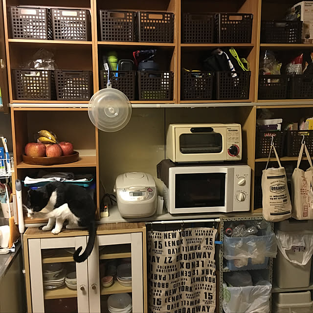 Kiyomiさんの実例写真